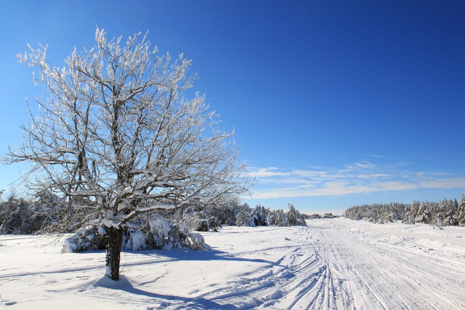 - KH Auto ApS - Vinterkørsel og rækkevidde i elbiler - KH Auto ApS - Vinterkørsel og rækkevidde i elbiler